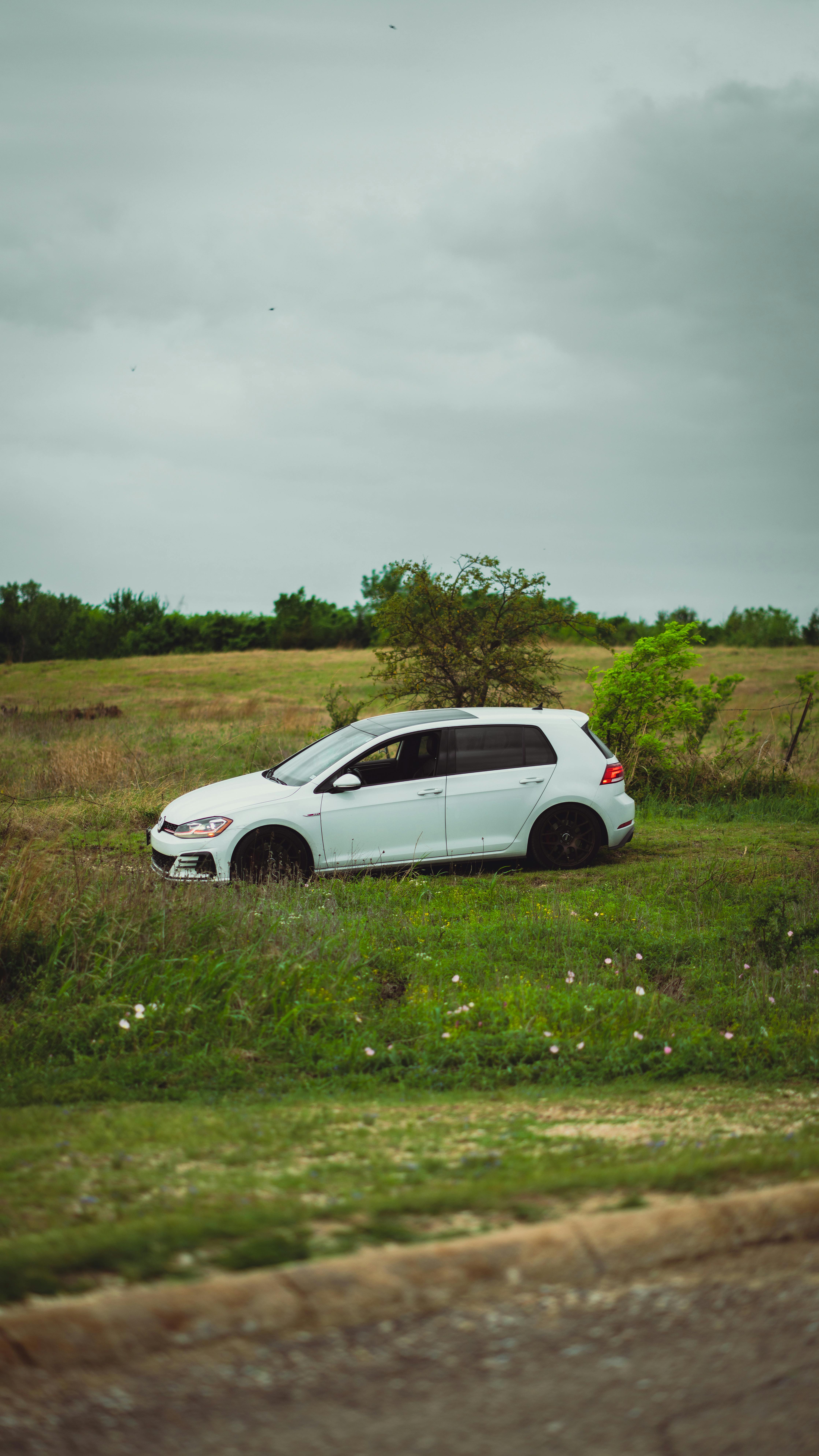 Volkswagen Golf 8
